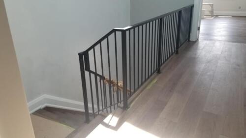 00219 Indoor Modern Railings