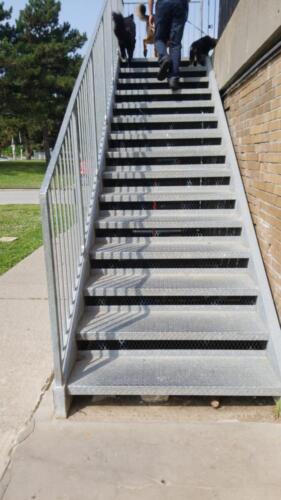 01489 Stairs Ladders